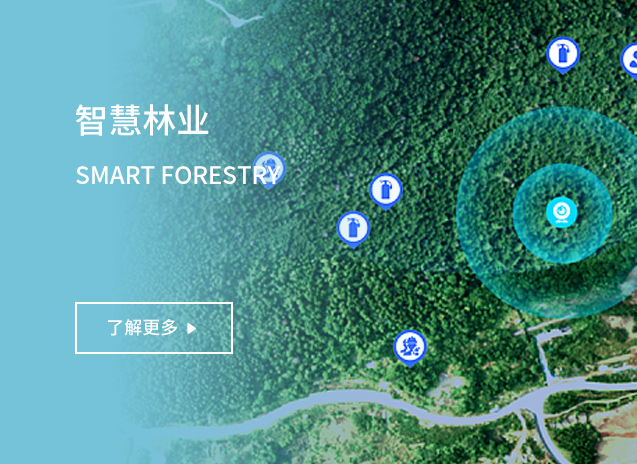 智慧林业