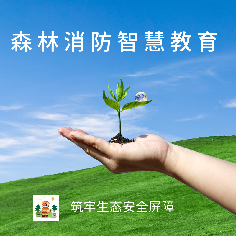 森林消防智慧教育