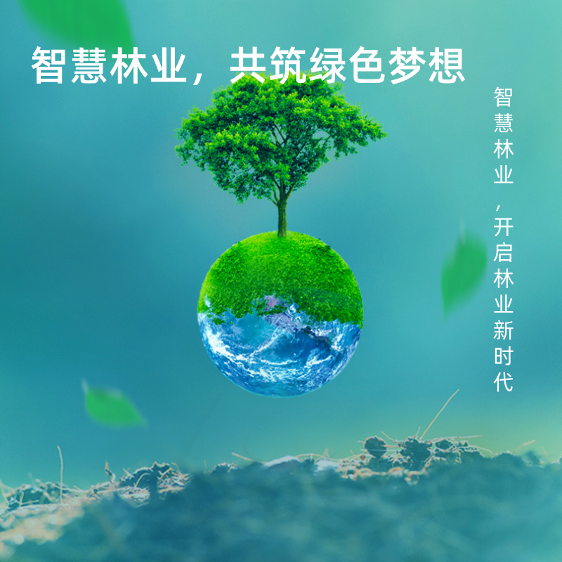 智慧林业，共筑绿色梦想